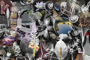 TRANSPARENCY Collage.