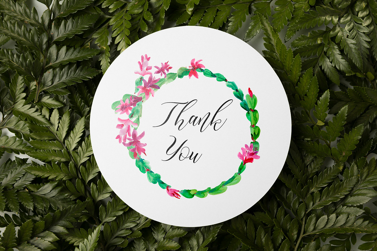 Watercolor Thanksgiving cactus, an Illustration by Belusuab (Photo 5 of 14)