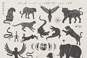 Wild Soul logo & insta stories, an Animal Illustration by Mio Buono (Thumbnail 3 of 14)