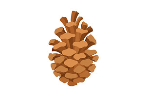 Fir or pine cone. Nature decoration, an Object Illustration by the8monkey