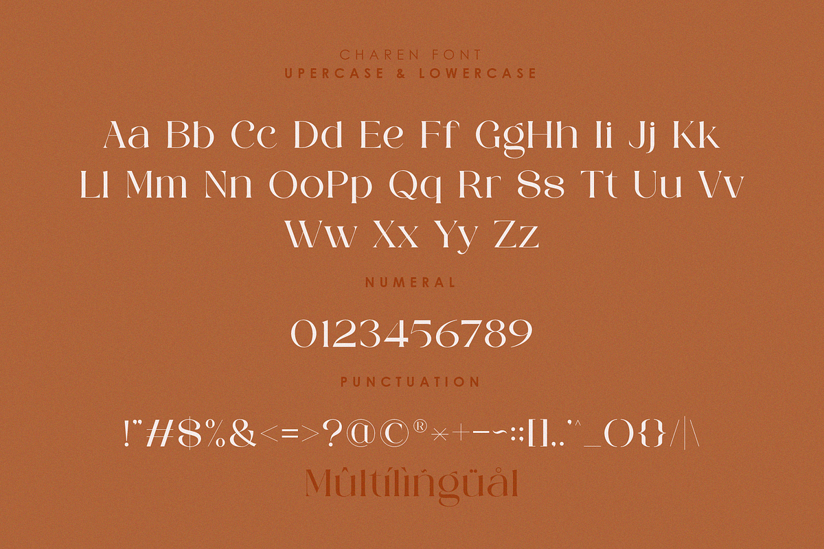 CHAREN || a modern display serif, a Serif Font by ToniStudio (Photo 6 of 9)