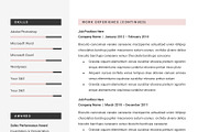 Professional CV Resume Template, a Resume Template by GResume (Thumbnail 6 of 7)