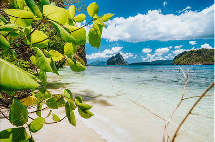 Leaves and secluded beach with view, a Nature Photo by Igor Tichonow