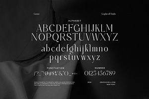 Gaston - Modern Serif Font