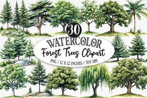 Watercolor Forest Trees Clipart, an Illustration by Designking