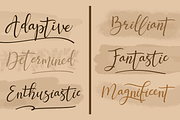 Jettiares Script Font, a Script Font by Letterhanna Studio (Thumbnail 9 of 15)