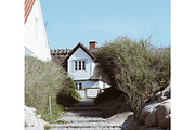 Lightroom Presets Bundle, a Plug-in Add-On by Mark Swizzy (Thumbnail 17 of 29)