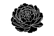 Floral Ornament Silhouette Bundle, an Illustration by BIPLOB EXPERT (Thumbnail 8 of 51)