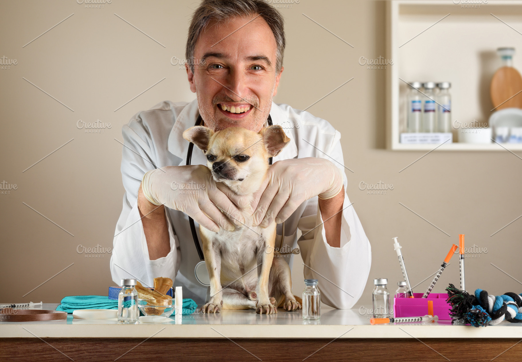 Smiling Veterinarian Holding a Chihuahua in a Medical Clinic, an Animal Photo by Davizro's Market
