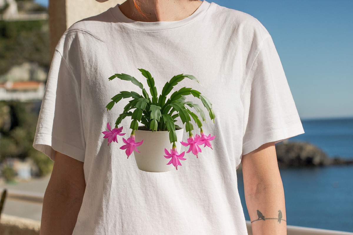 Watercolor Christmas Cactus Clipart, an Illustration by SVGArt (Photo 5 of 8)