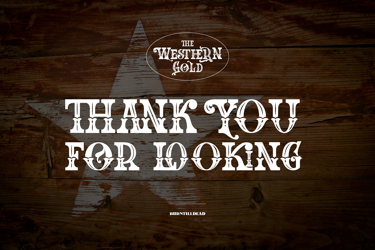 The Western Gold, a Serif Font by Burntilldead (Photo 11 of 11)