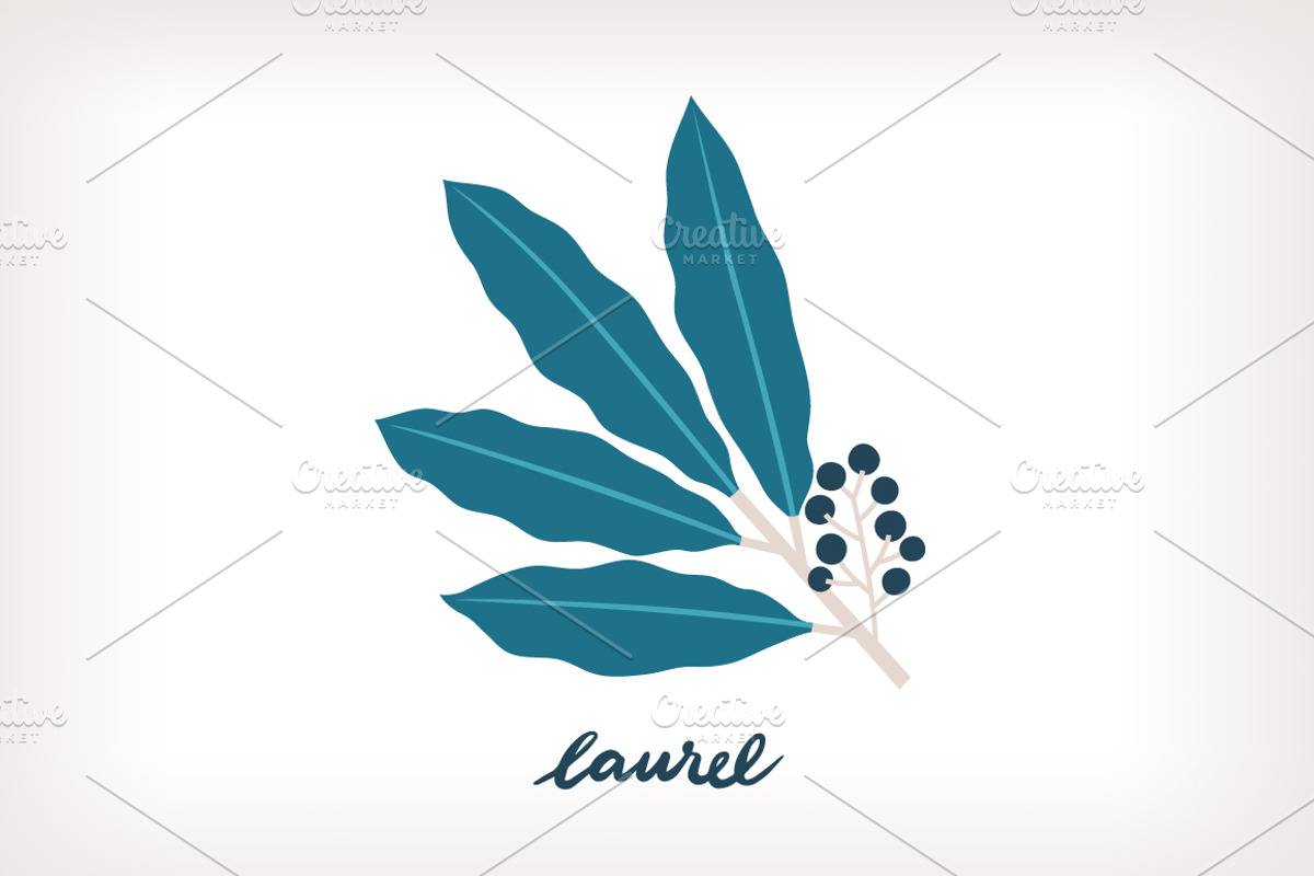 Aromatic Herbs Vector Graphics, an Illustration by Insalata Illustrata (Photo 3 of 6)