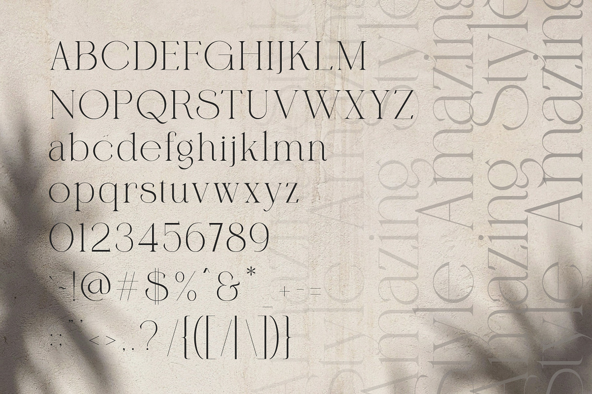 Qareky a Modern & Elegant Serif, a Serif Font by Lettertype Studio (Photo 6 of 20)