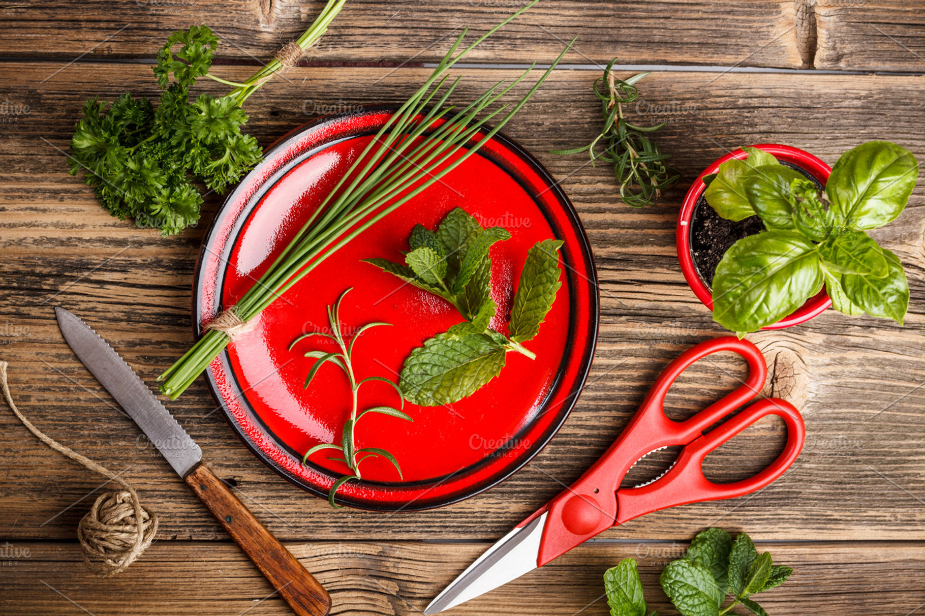 Freshly Harvested Spices Containing Herbs Basil And Chives