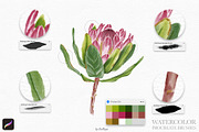 Watercolor Brushes for Procreate, a Brush Add-On by owlasya (Thumbnail 7 of 9)