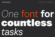 TT Neoris, a Sans Serif Font by TypeType (Thumbnail 3 of 15)