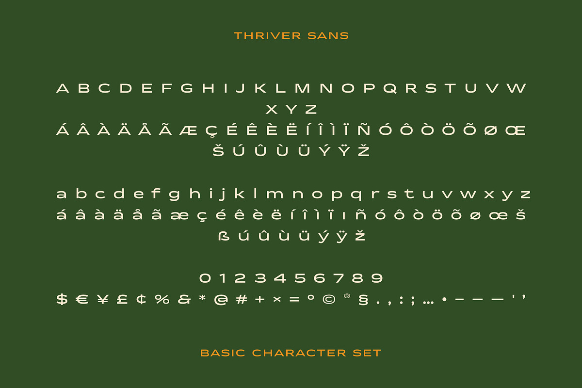 Thriver – Retro Display Font Family, a Sans Serif Font by SNI Typeworks (Photo 7 of 11)
