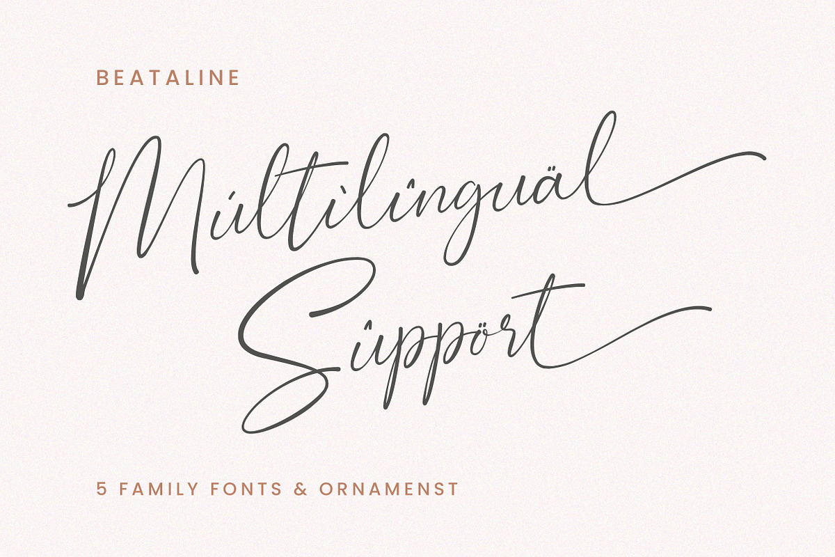 Bestaline Font Collection, a Script Font by Typebae (Photo 12 of 14)