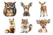 Forest Animals Watercolor Clipart, an Illustration by Daily.Designs (Thumbnail 2 of 5)