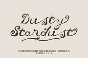 Untold Chapter Rustic Script & Serif, a Script Font by Letterhend Studio (Thumbnail 9 of 14)