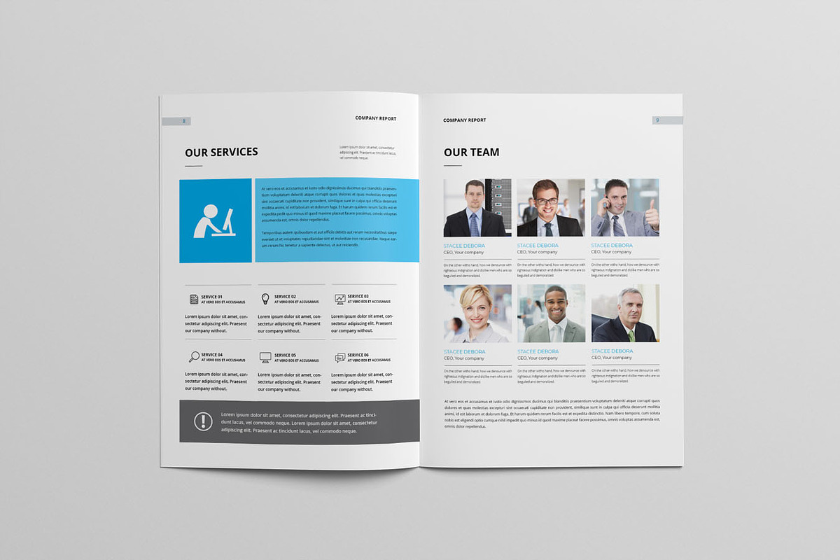 Company Profile Template WORD & INDD, a Brochure Template by Taiffco (Photo 7 of 8)