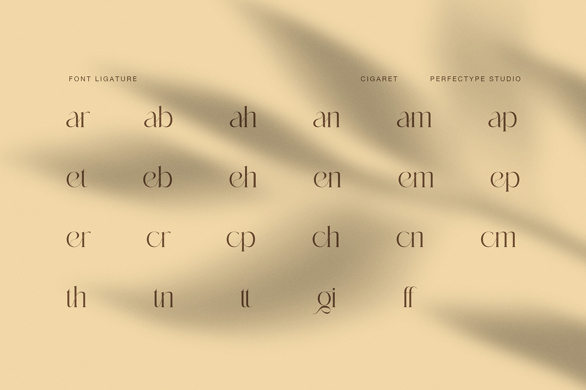 Cigaret Elegant Fashion Serif Font, a Serif Font by Perfectype (Photo 8 of 8)