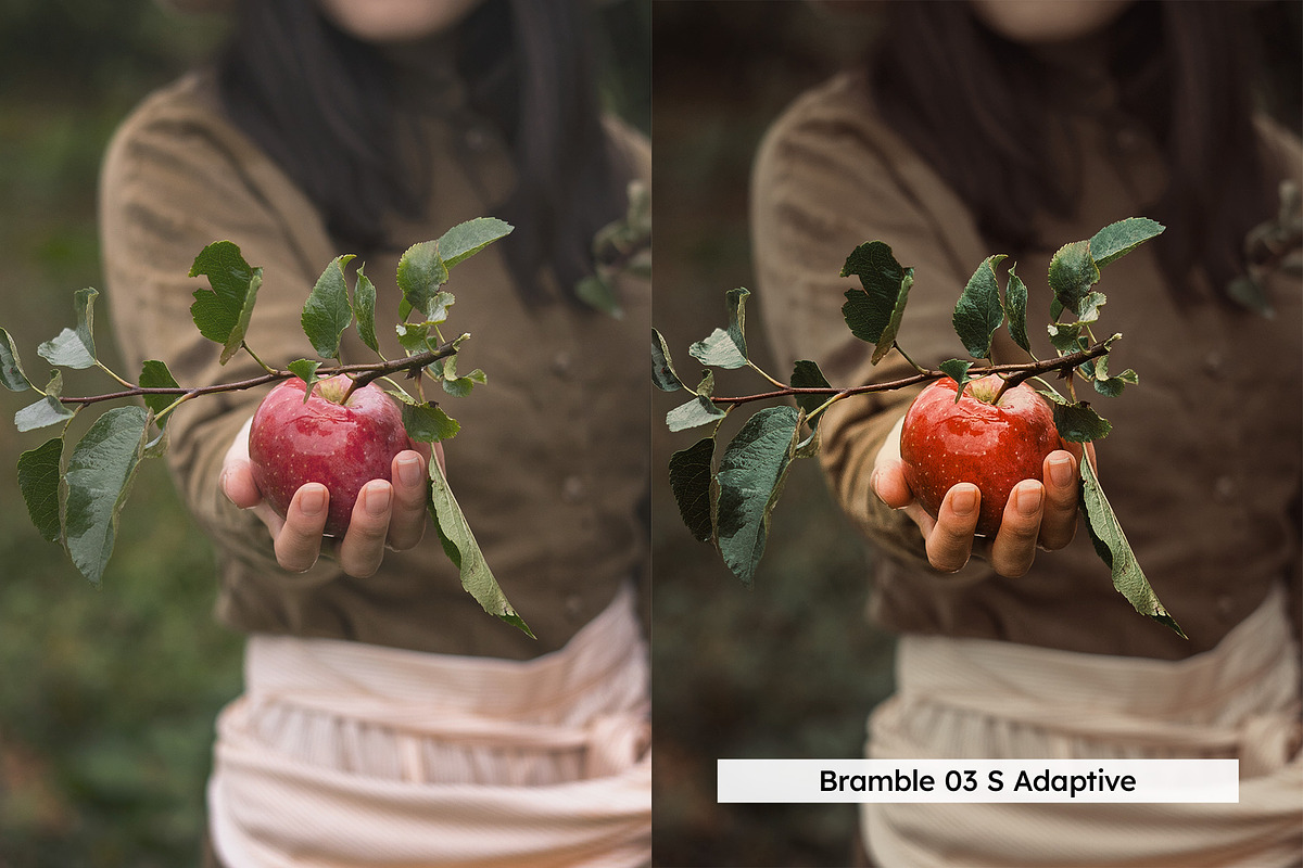 20 Cider Lightroom Presets and LUTs, a Preset Add-On by SparkleStock (Photo 9 of 13)