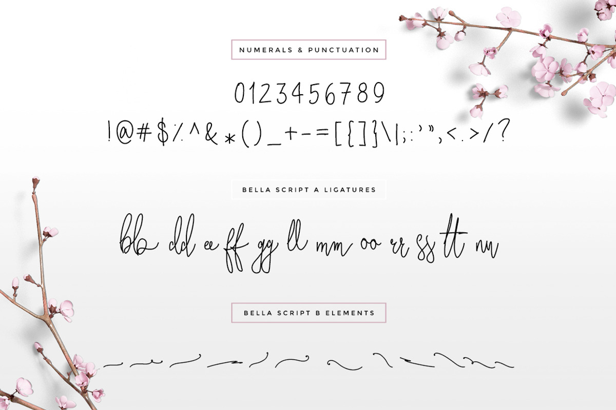 Wonderland Fonts Pack & Branding Kit, a Script Font by Graphicdome (Photo 74 of 118)