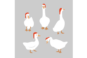 White Goose Collection In Santa