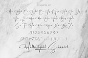Magellin - Elegant Signature Script, a Script Font by Flawless And Co (Thumbnail 9 of 10)