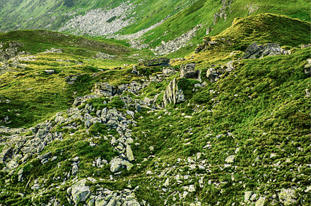 Carpathian mountain landscape, a Nature Photo by Nature and travel