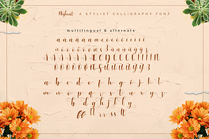 Higheat - Stylish Calligraphy Font