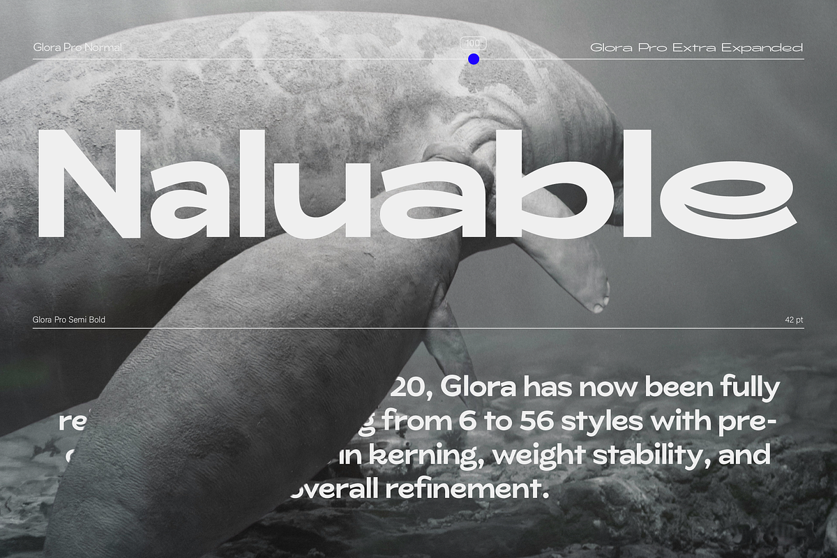 ZT Glora Pro - Variable / 56 Fonts, a Sans Serif Font by zelow type (Photo 4 of 15)