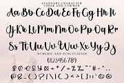 Daisy Wedding, a Handwritten Font by FreshTypeINK (Thumbnail 4 of 7)
