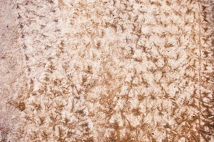 Tire Tracks Texture 2 (Photo)