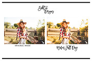Warm Fall Day Lightroom Preset, a Preset Add-On by SabTin Designs (Thumbnail 4 of 4)