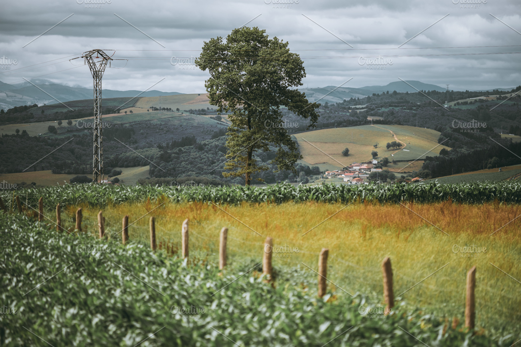 Rural landscape with power line, a Nature Photo by SkyNext