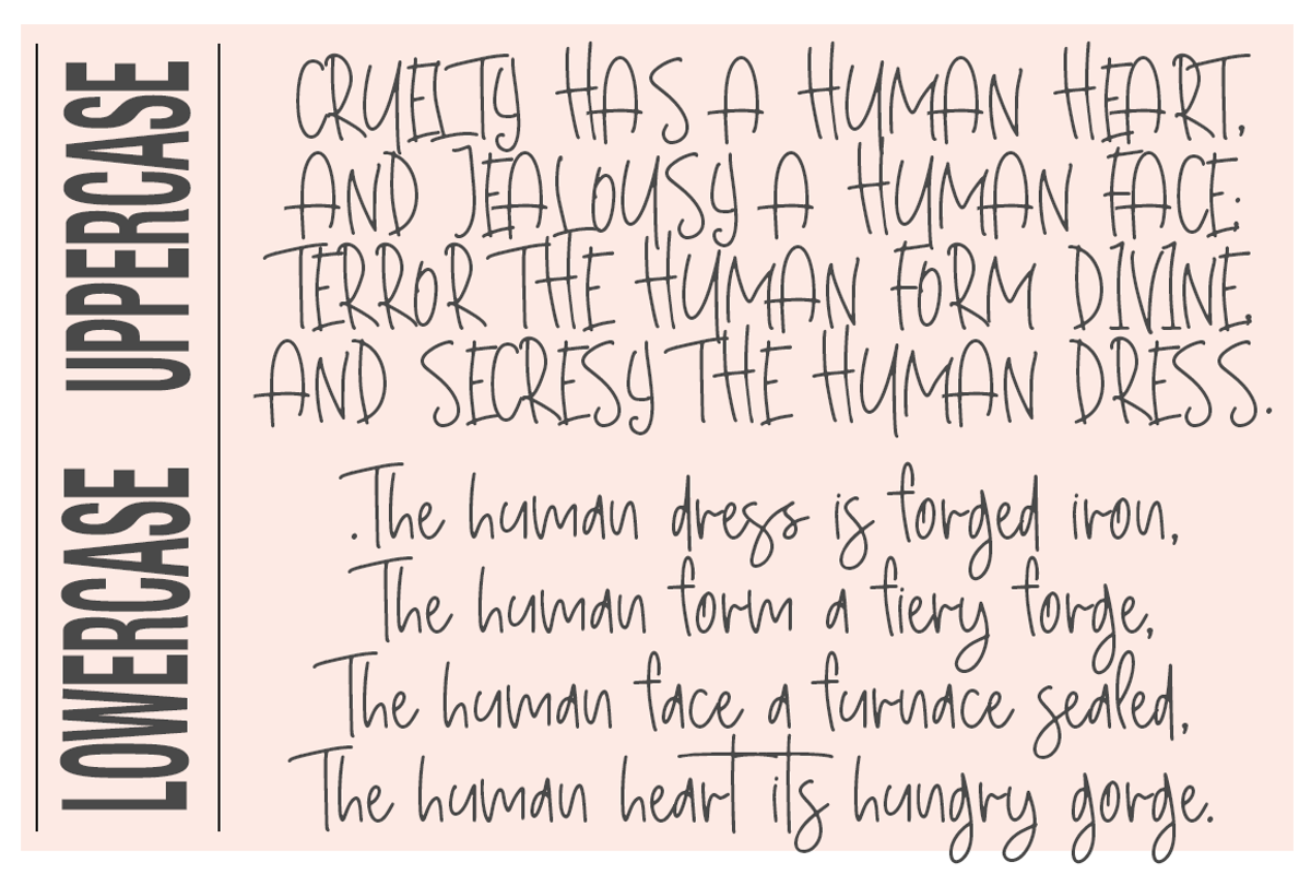 Wimmer, a Handwritten Font by Besttypeco (Photo 2 of 5)