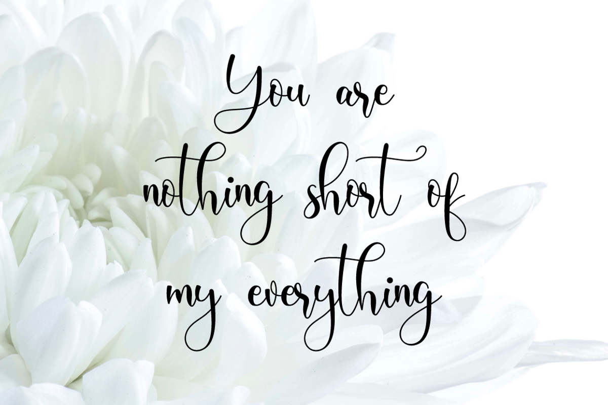 Domiland Script, a Script Font by Nissa Studio (Photo 9 of 12)