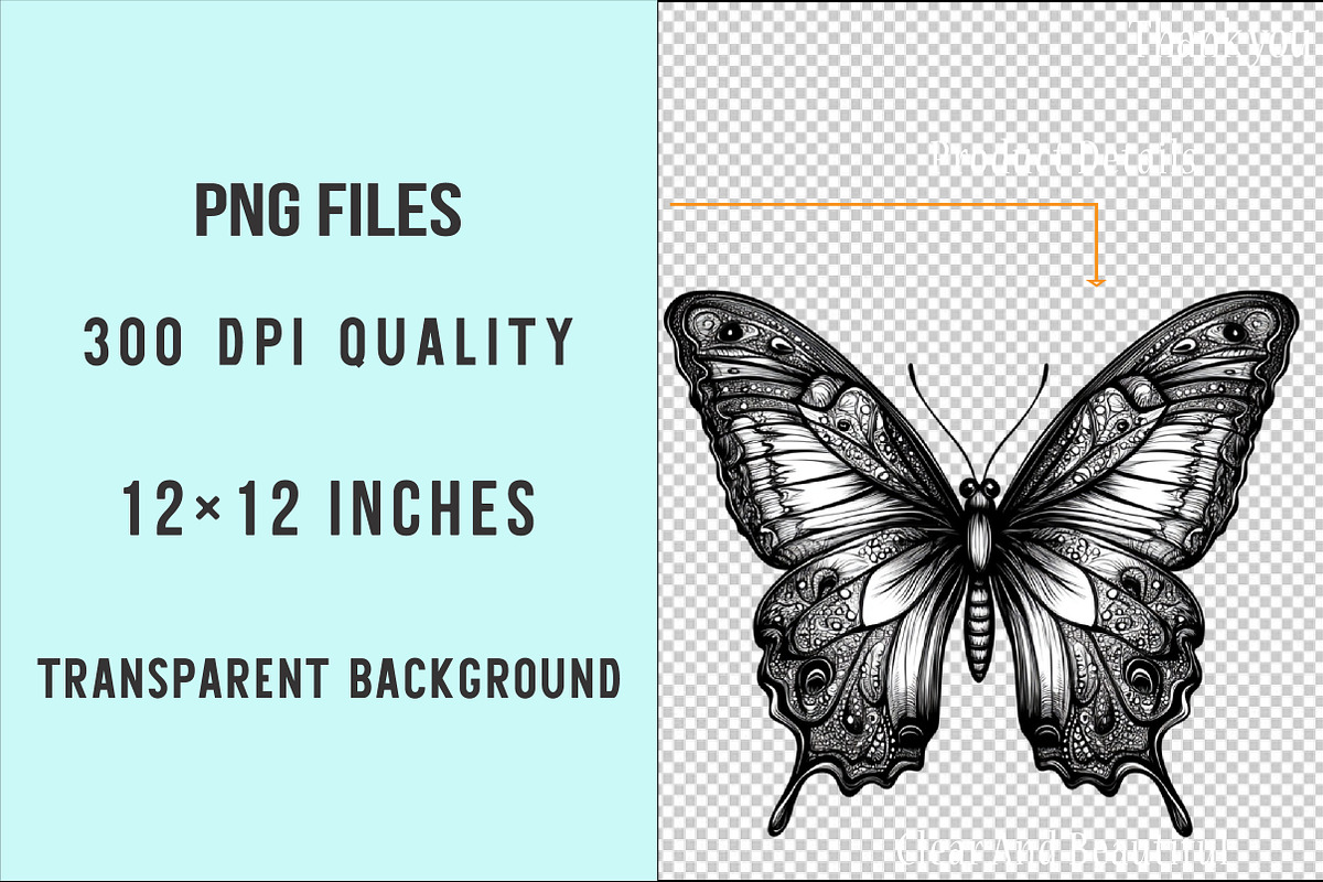 Butterflies Clipart PNG, an Illustration by SinaCreation (Photo 4 of 5)