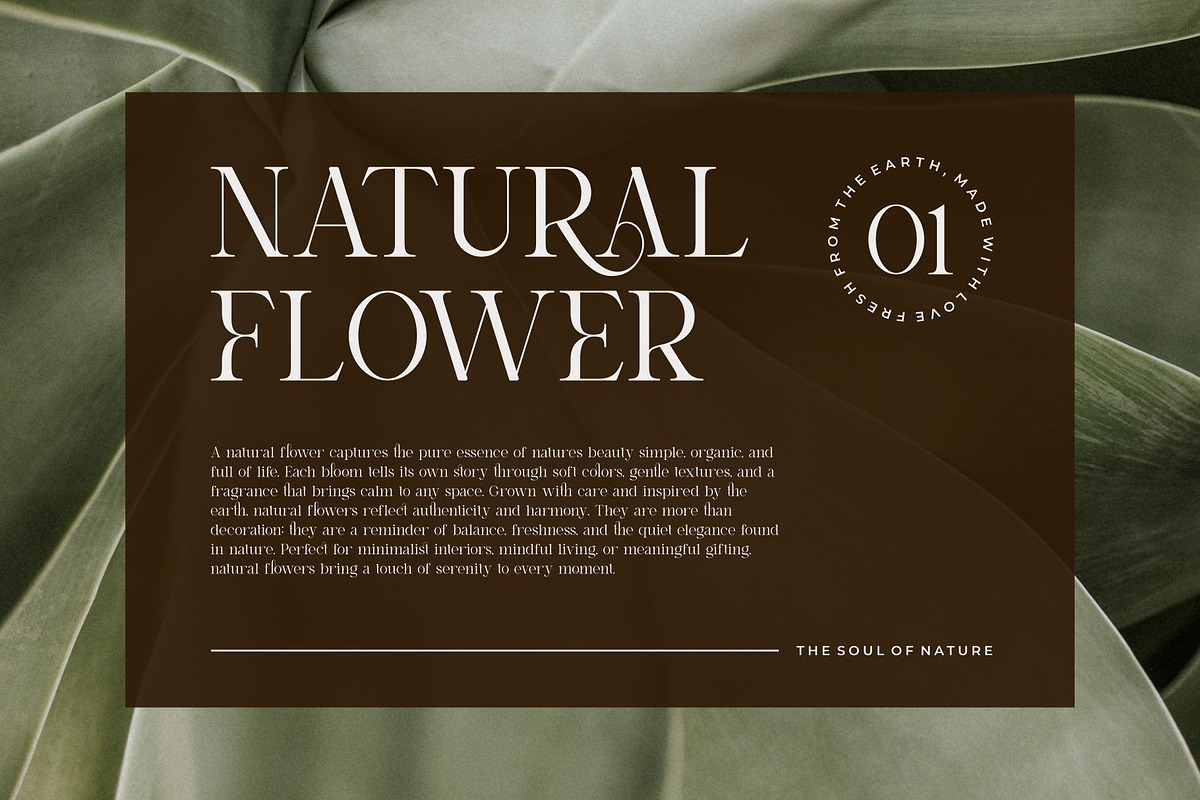 Bolsgi || Modern Classy Serif Font, a Serif Font by Ermedia Studio (Photo 9 of 10)