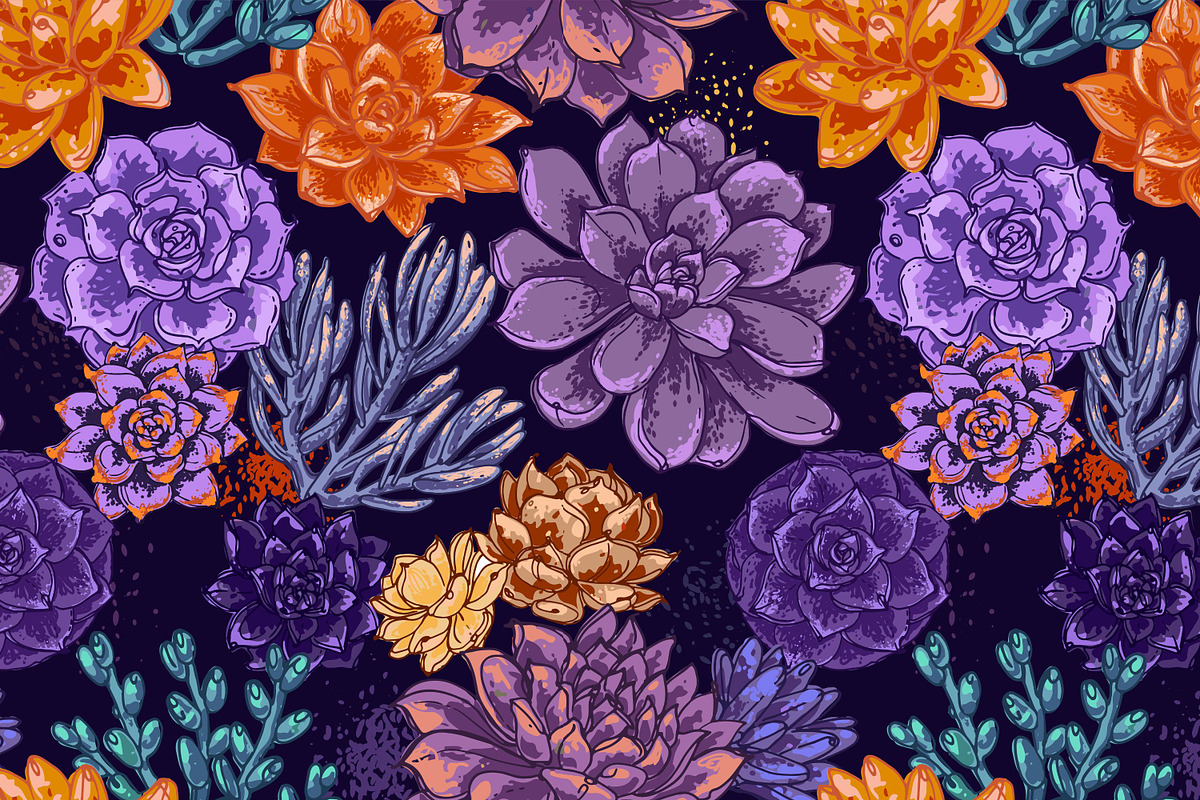 Succulents. Vector flowers, a Decorative Illustration by irina.vaneeva (Photo 4 of 5)