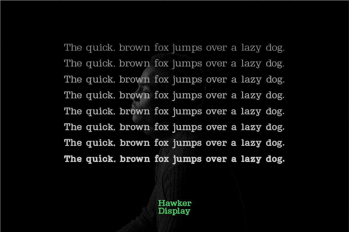 Hawker Serif - Modern Typeface + Web, a Serif Font by Webhance Studio (Photo 3 of 6)