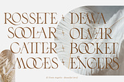 El Fonte Angelia | Ligature Serif, a Serif Font by Gilar Studio (Thumbnail 9 of 11)