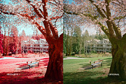 Infrared I, a Preset Add-On by colorituals (Thumbnail 4 of 8)