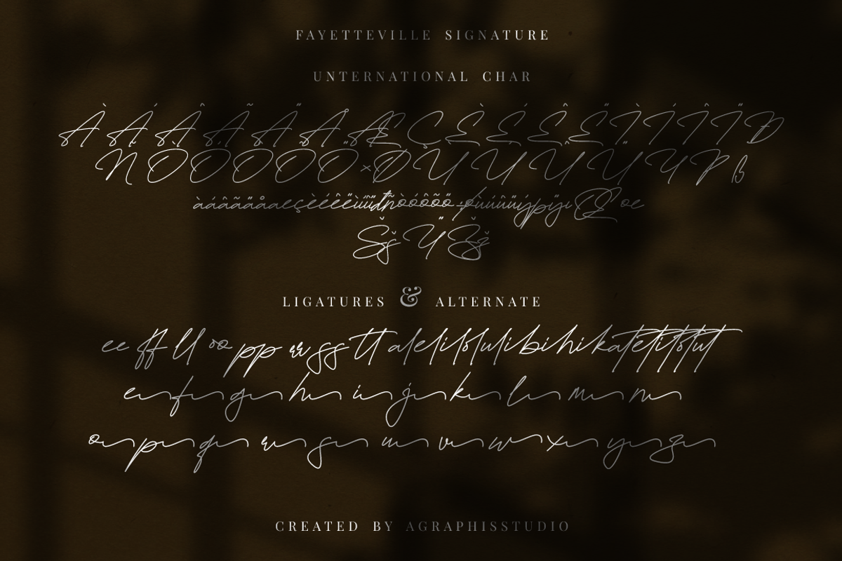 Fayetteville Signature Business Font, a Script Font by KennedyStudio (Photo 9 of 11)