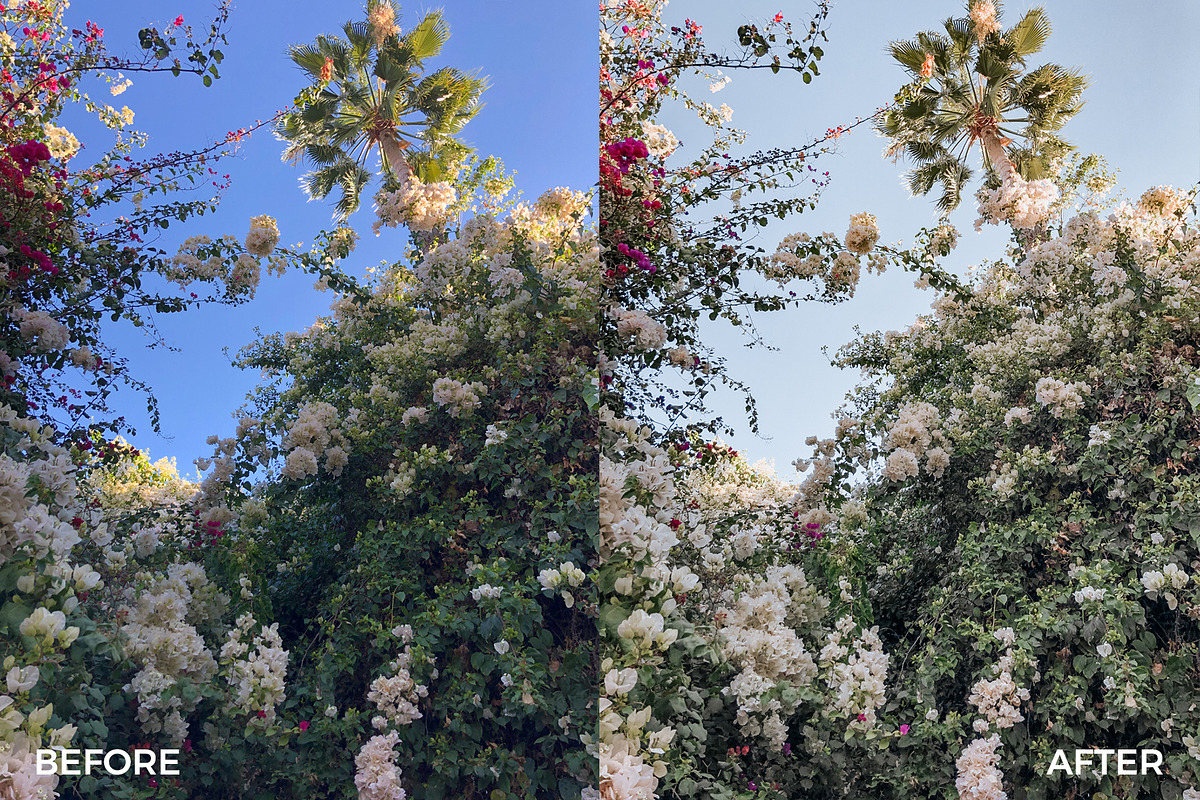 Morocco Lightroom Mobile Presets, an Action Add-On by in between details (Photo 12 of 22)