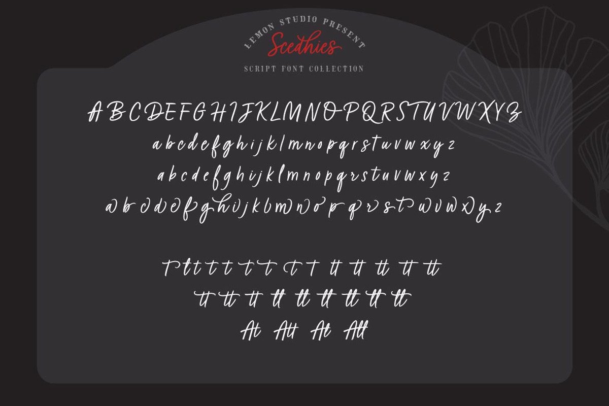 Scedhies - Script, a Script Font by Lemon Studio Type (Photo 8 of 9)