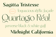 Belgato Elegant Vintage Font Family, a Serif Font by Molly Suber Thorpe (Thumbnail 3 of 13)