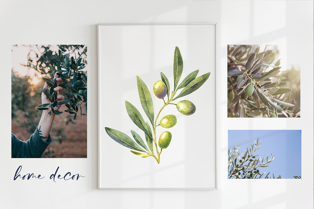 Olive Branches Watercolor Clipart, a Food Illustration by YarovaArt (Photo 5 of 28)